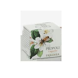 PROPOLI UNGUENTO 50ML