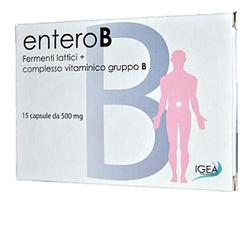 ENTEROB IMMUNO 15CPS 500MG