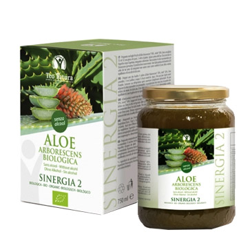 ALOE SINERGIA 2 750ML