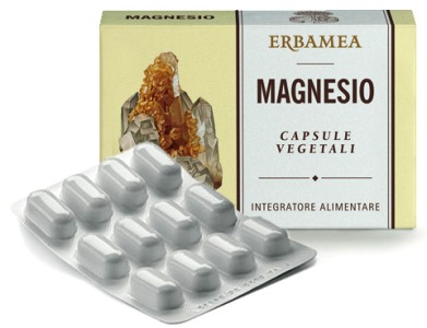 MAGNESIO 24CPS 1200MG