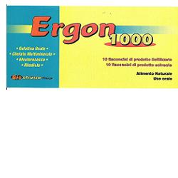 ERGON 1000 INTEGRAT 10+10FL