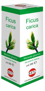 FICUS CARICA MG 100ML