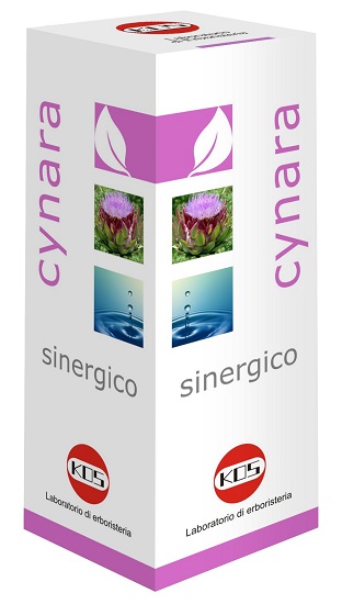 CYNARA SINERGICO GTT 100ML