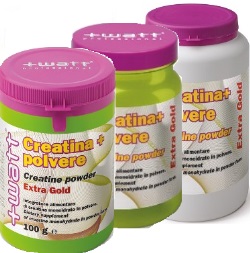 CREATINA+ POLV EXTRAGOLD 350G