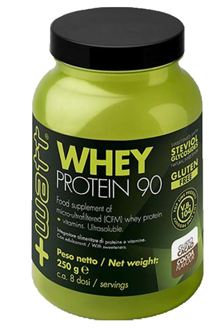 WHEY PROTEIN 90 CACAO POLV250G