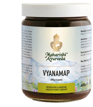 VYANAMAP PASTA 600G