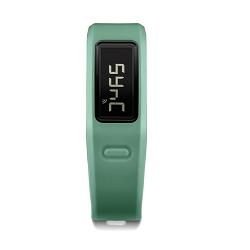 VIVOFIT VERDE