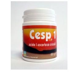 CESP 1 POLVERE 60G