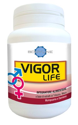 VIGOR LIFE 40CPS