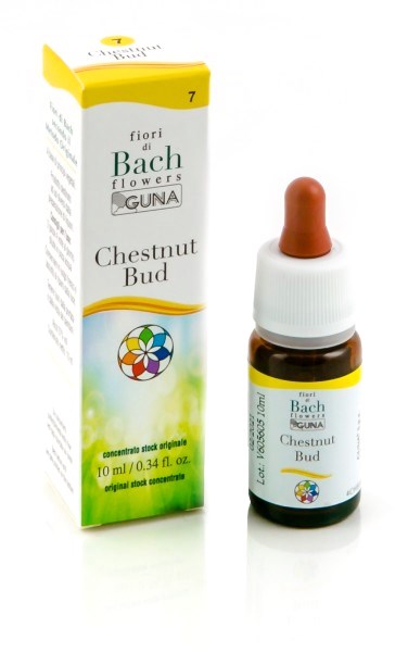 CHESTNUT BUD GTT 10ML