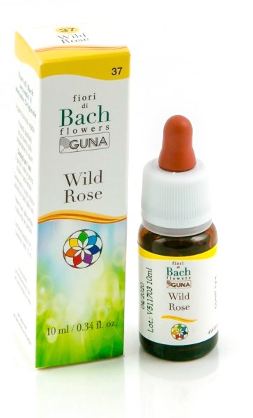 WILD ROSE GUN GTT 10ML