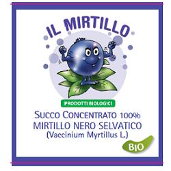 SUCCO PURO 100% MIRTILLO 200G