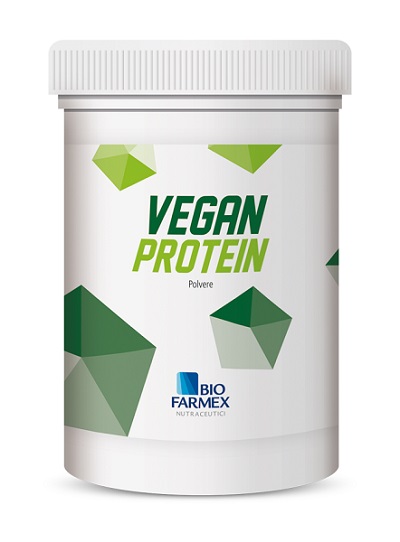 VEGAN PROTEIN 500G