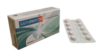 KAPPAPHYT 10 20CPR 650MG