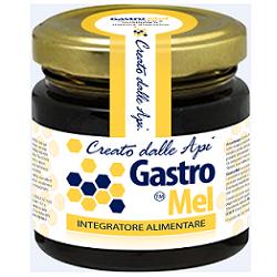 GASTROMEL 120G