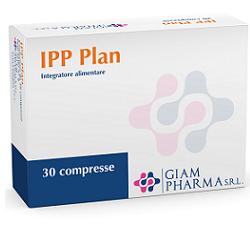 IPP PLAN 30CPR