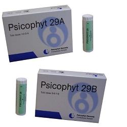 PSICOPHYT REMEDY 29A 4TUB 1,2G