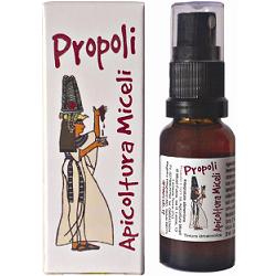 PROPOLI TINTURA IAL SPRAY 20ML