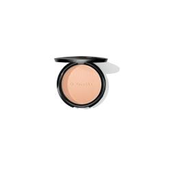 DR HAUSCHKA BRONZ POWDER POCKE