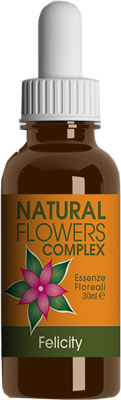 FELICITY NATURAL FLOWER COMPLE