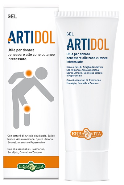 ARTIDOL GEL 100ML