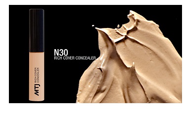 RICH COVER CONCEALER N30