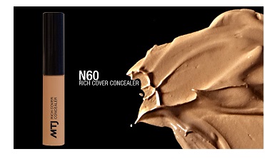 RICH COVER CONCEALER N60