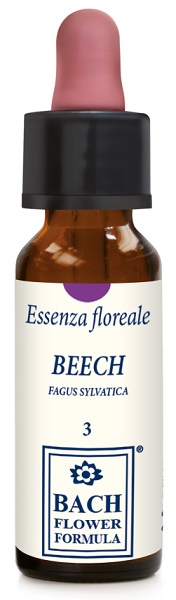 BEECH ORIGINAL 10ML GTT