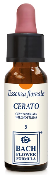 CERATO ORIGINAL 10ML GTT