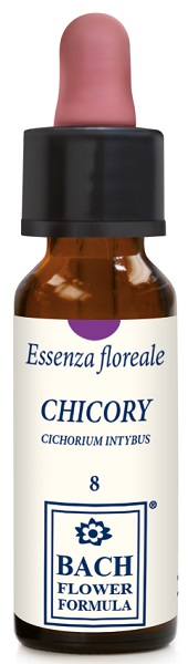 CHICORY ORIGINAL 10ML GTT