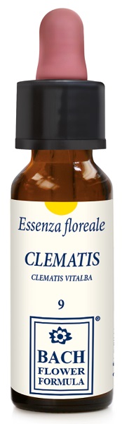 CLEMATIS ORIGINAL 10ML GTT