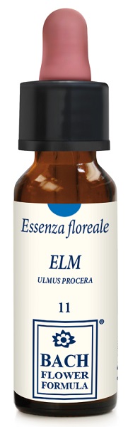 ELM ORIGINAL 10ML GTT