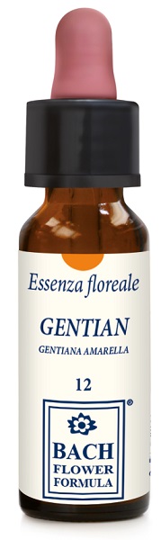 GENTIAN ORIGINAL 10ML GTT