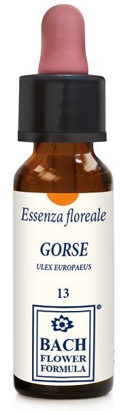 GORSE ORIGINAL 10ML GTT