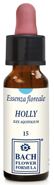 HOLLY ORIGINAL 10ML GTT