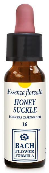 HONEYSUCKLE ORIGINAL 10ML GTT