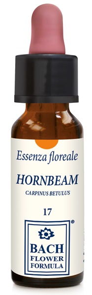 HORNBEAM ORIGINAL 10ML GTT