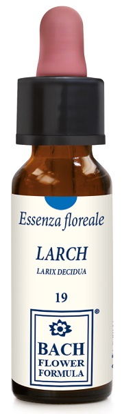 LARCH ORIGINAL 10ML GTT