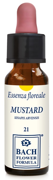 MUSTARD ORIGINAL 10ML GTT