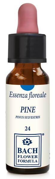 PINE ORIGINAL 10ML GTT