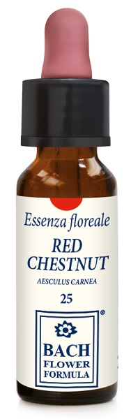 RED CHESTNUT ORIGINAL 10ML GTT