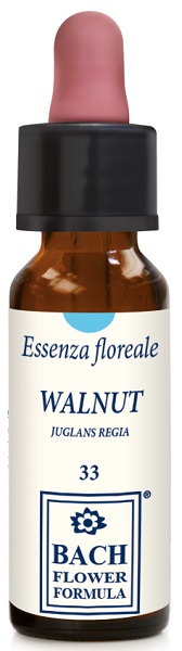 WALNUT ORIGINAL 10ML GTT