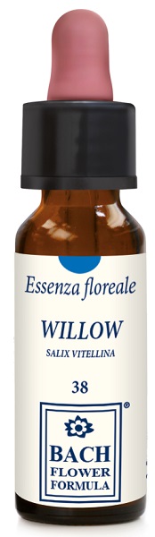 WILLOW ORIGINAL 10ML GTT