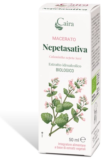 NEPETASATIVA MACERATO CAIRA