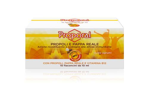 PROPORAL PROP&PAPPAREALE 10FL