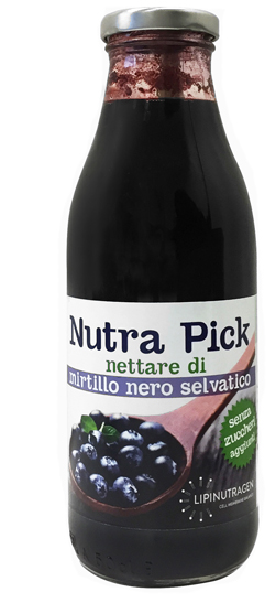 NUTRA PICK NETTARE MIR NE500ML