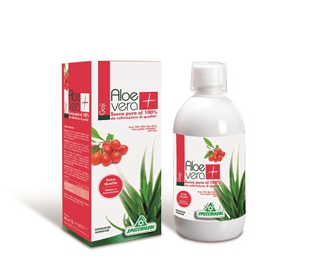 SUCCO ALOEVERA+ GOJI 1000ML