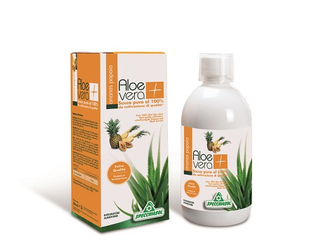 SUCCO ALOEVERA+ ANAN/PAP1000ML