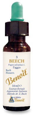 BENOIT FIORI DI BACH BEECH