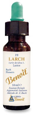 BENOIT FIORI DI BACH LARCH